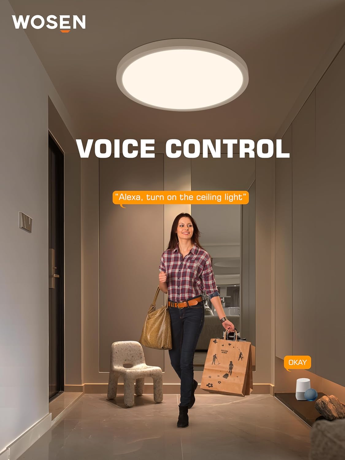 Smart RGB+5CCT Ceiling Light